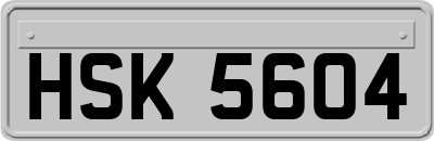 HSK5604