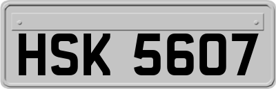 HSK5607