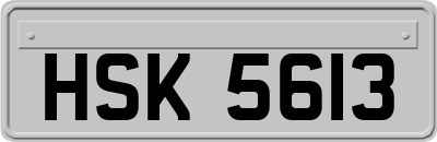 HSK5613