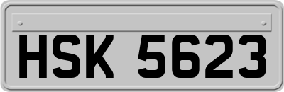 HSK5623
