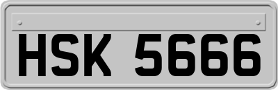 HSK5666