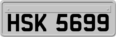 HSK5699