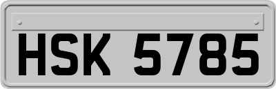 HSK5785
