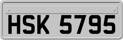 HSK5795
