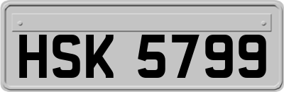 HSK5799