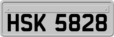 HSK5828
