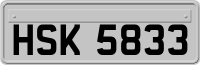HSK5833