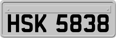 HSK5838
