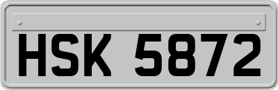 HSK5872