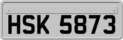 HSK5873