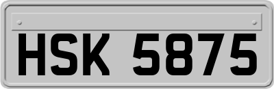 HSK5875