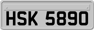 HSK5890