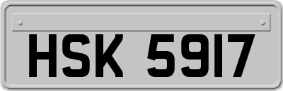 HSK5917