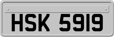 HSK5919