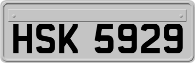 HSK5929