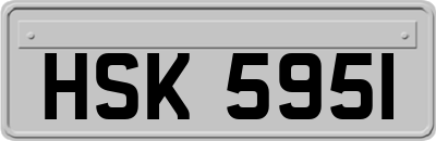 HSK5951