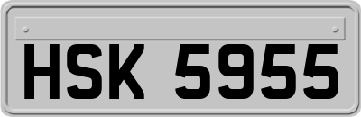 HSK5955