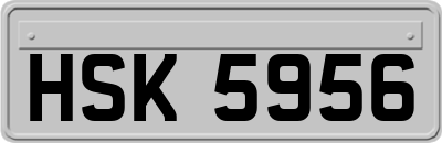 HSK5956
