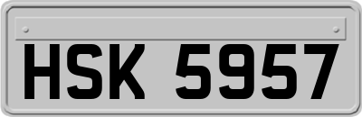 HSK5957