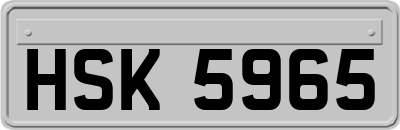 HSK5965
