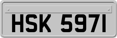 HSK5971