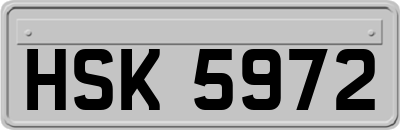 HSK5972