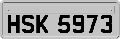 HSK5973
