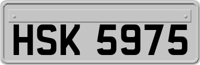 HSK5975