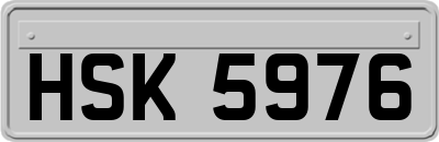 HSK5976