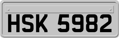 HSK5982