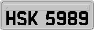 HSK5989