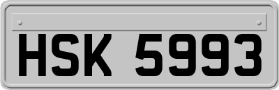 HSK5993
