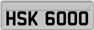 HSK6000