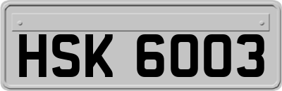HSK6003