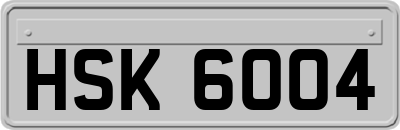 HSK6004