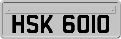 HSK6010