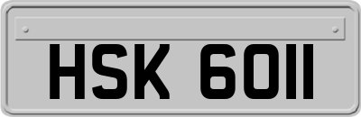 HSK6011