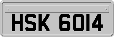 HSK6014