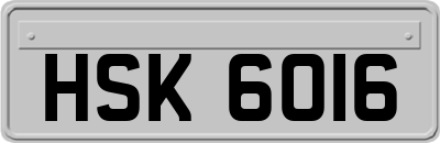 HSK6016