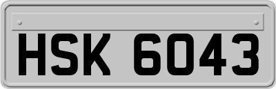 HSK6043