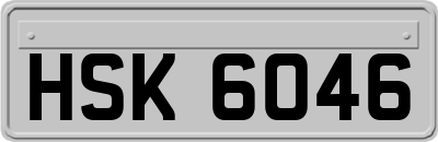 HSK6046