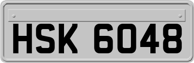 HSK6048
