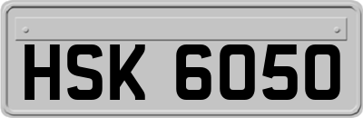 HSK6050