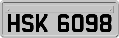 HSK6098