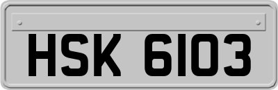 HSK6103