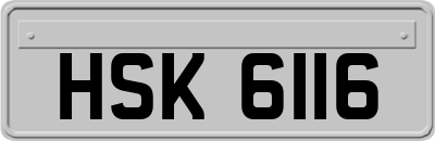HSK6116