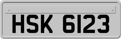 HSK6123