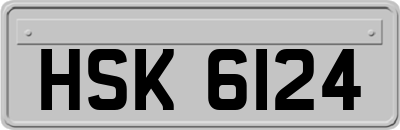 HSK6124