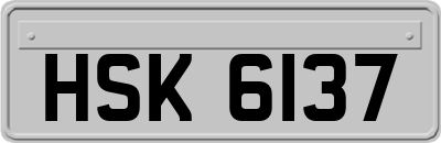 HSK6137