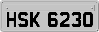 HSK6230